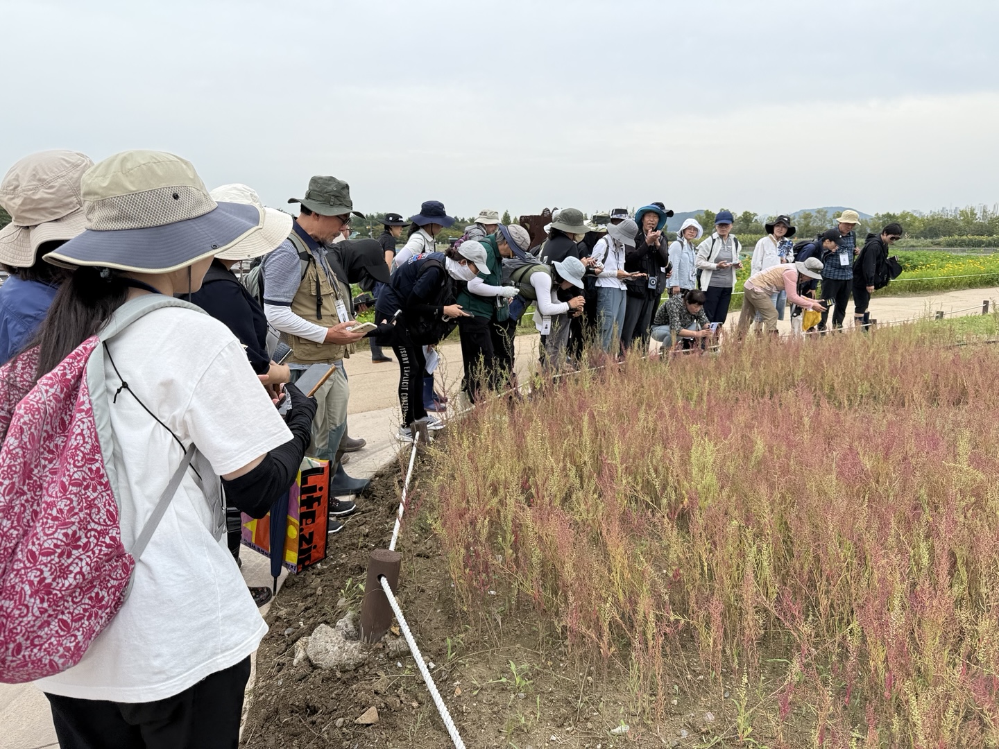 [251010] 서울에너지드림센터, 갯벌생태해설사 간이교육과정 성료