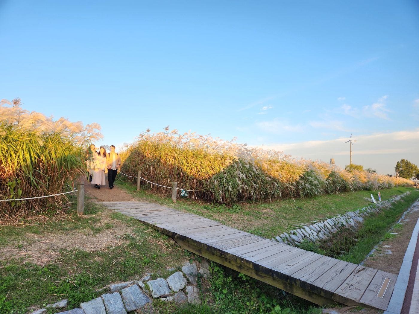 [251024] 서울에너지드림센터, 서울억새축제에서 <태양광 활용 발광 키링 만들기> 부스 참여